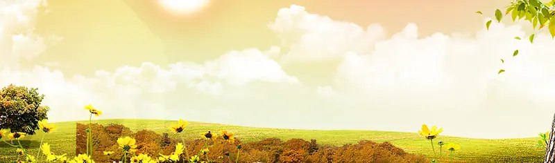 ���ﱳ��-������