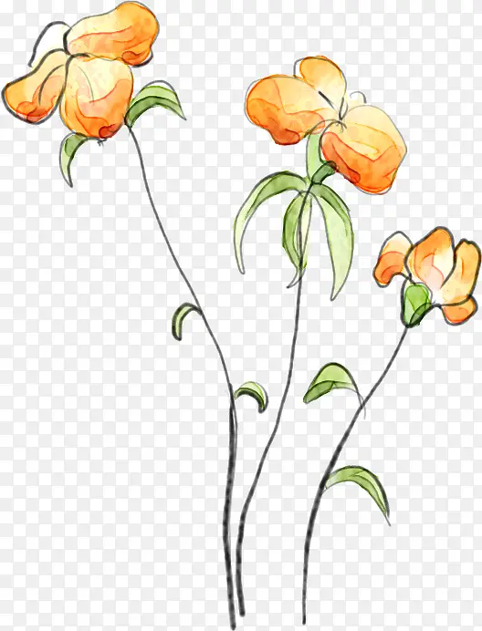 ����ϳ��ֻ��ɫ�Ļ���ֲ��-������