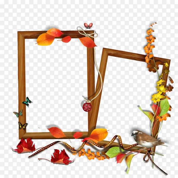 ֲ��Ҷ��װ�α߿��ز�-������