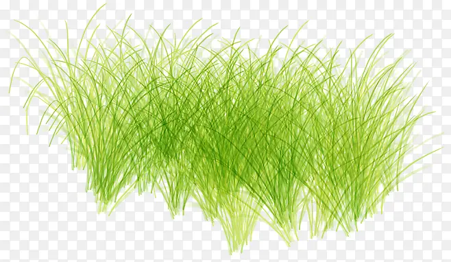 С��-������