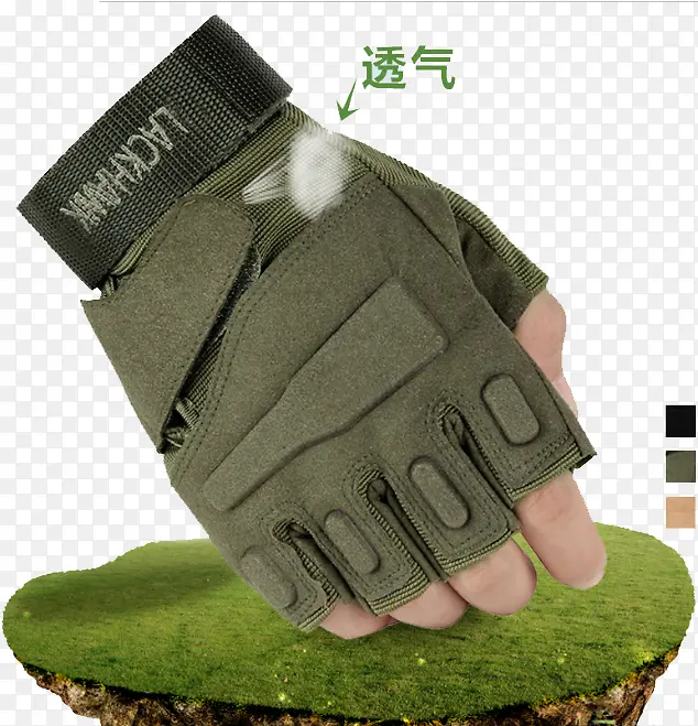 ����͸������-������