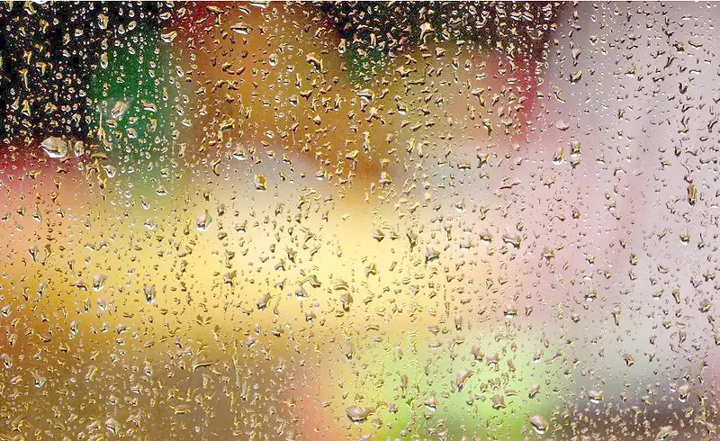 ���� ˮ�� ������-������