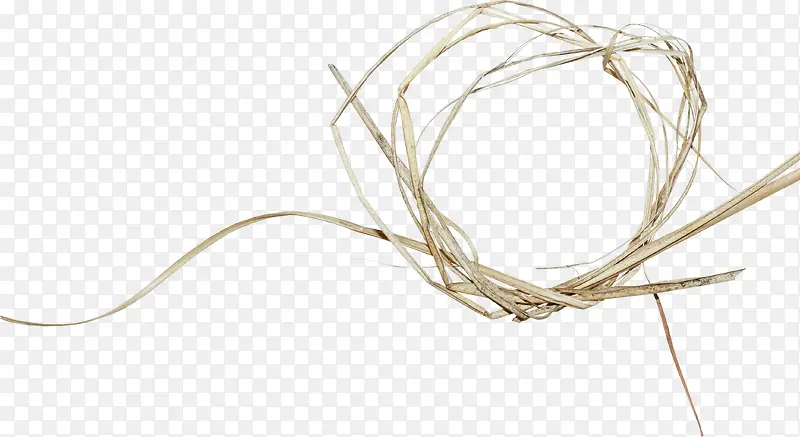 �ݲݲݻ�-������