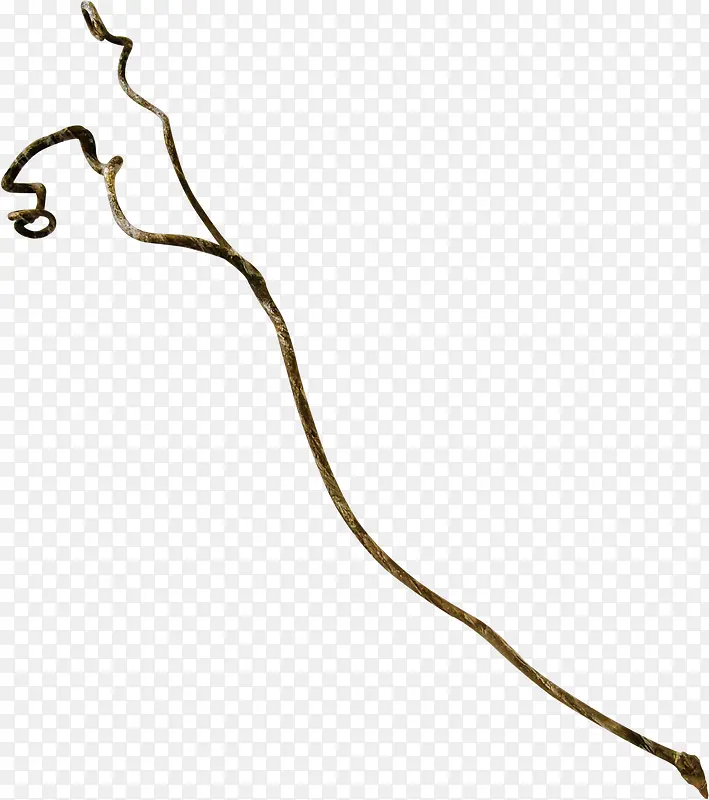 ��ɫ�����֦-������