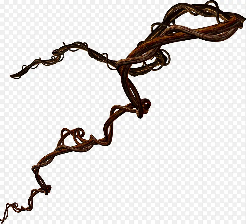 ��ɫ�����֦-������