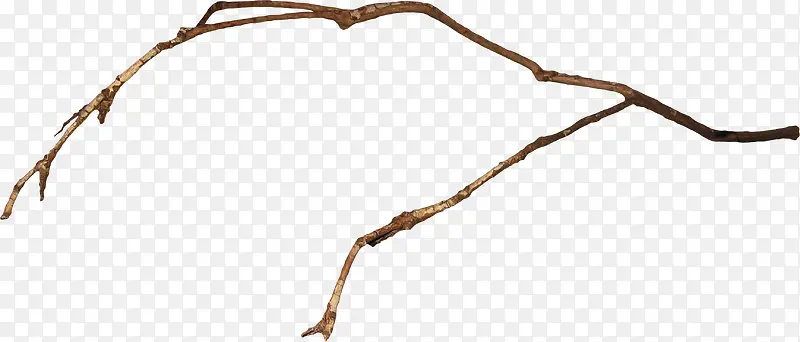 ��ɫ��֦-������