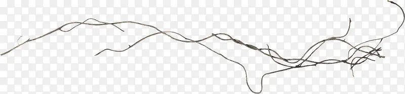 ��ɫƯ����֦-������