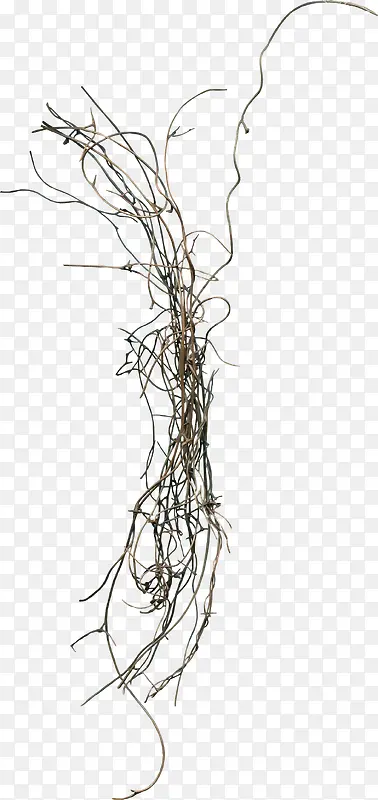 Ư����֦-������