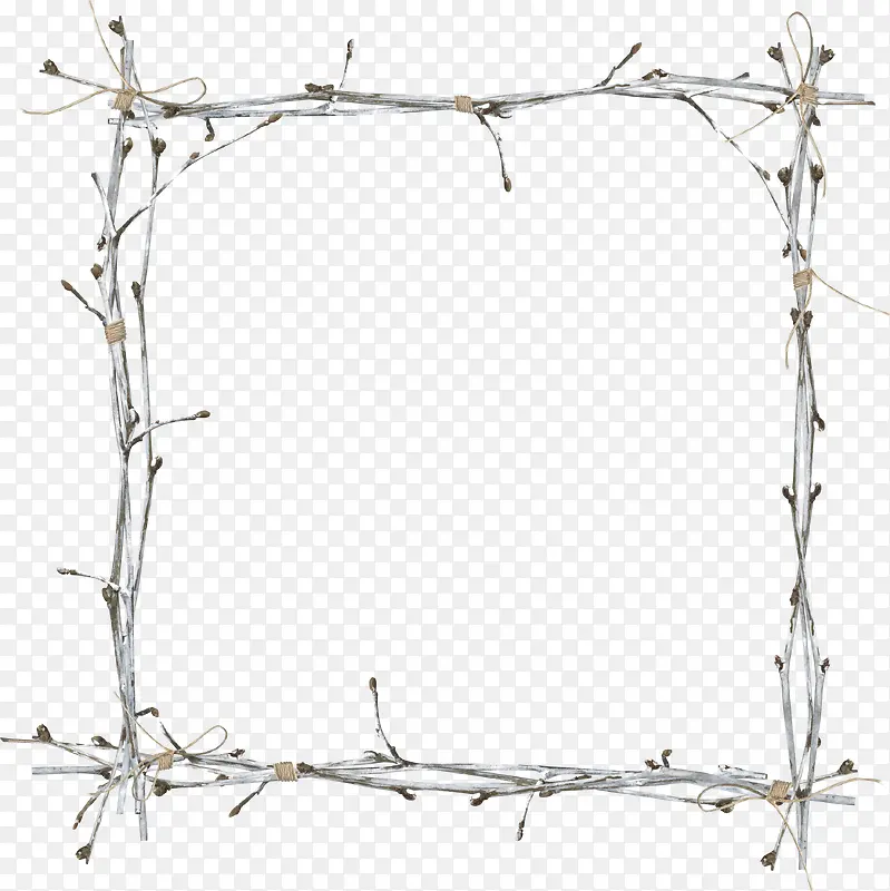 Ư����֦����-������