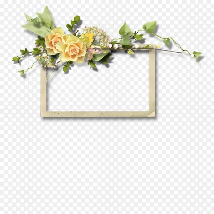 �����ı߿�-������