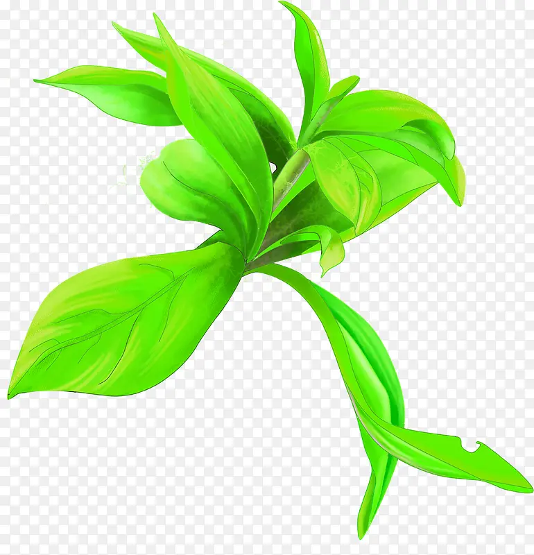 �ֻ���ɫ�ļ���֦װ��-������