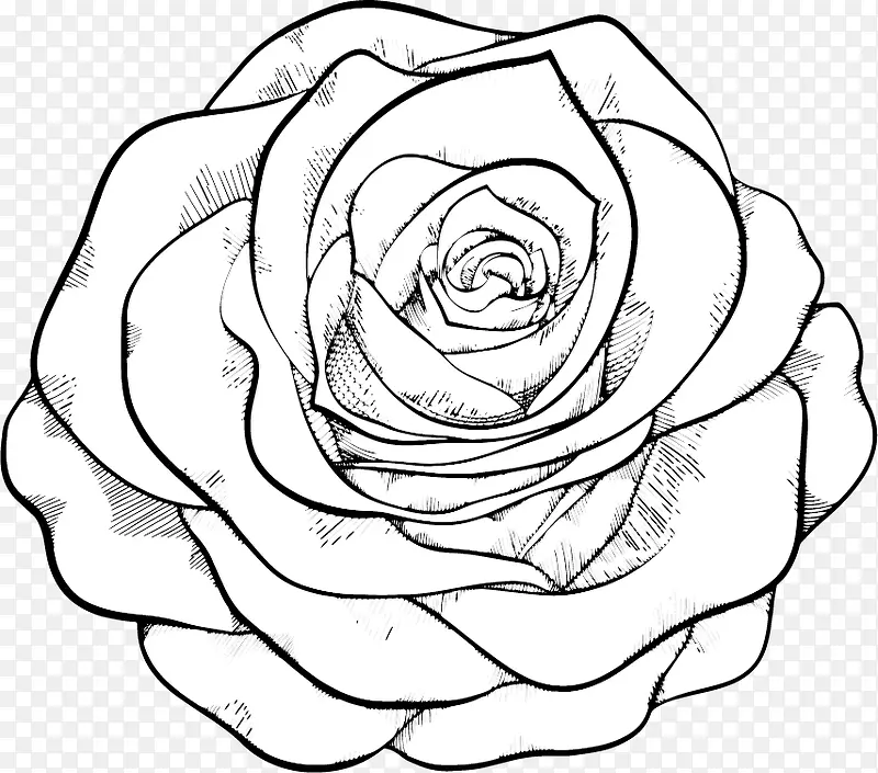 �������-������