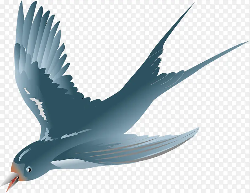 �ɰ�����-������