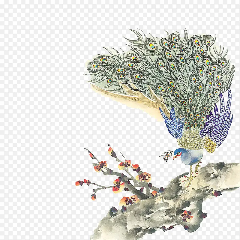 �ʻ�ŷ��ȸ��֦-������