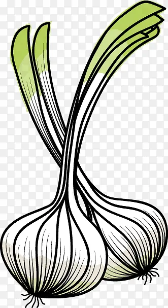 �ֻ�ʸ���߲�-������