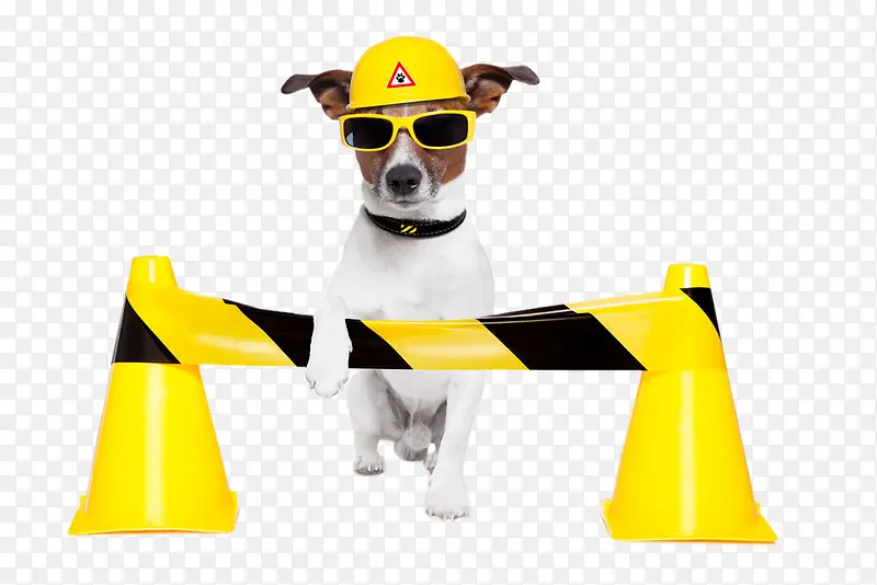 ����ȫñ�Ĺ���-������