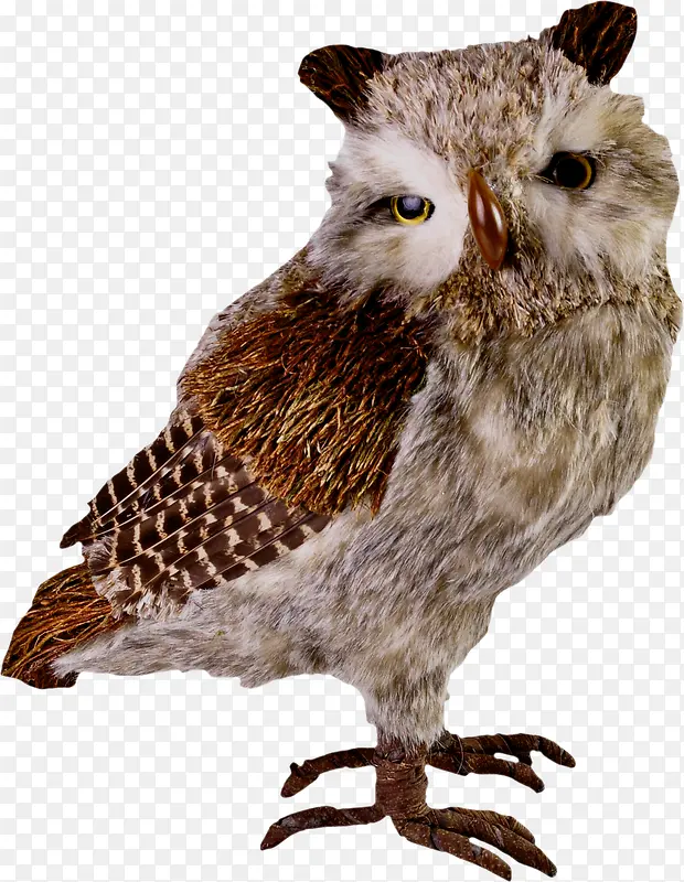 Ư���ɰ�èͷӥ-������