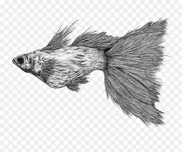 �ڰײ廭����-������