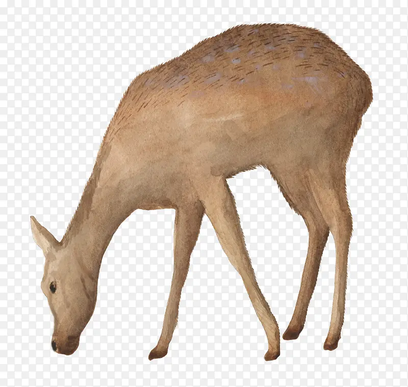 �ֻ���-������