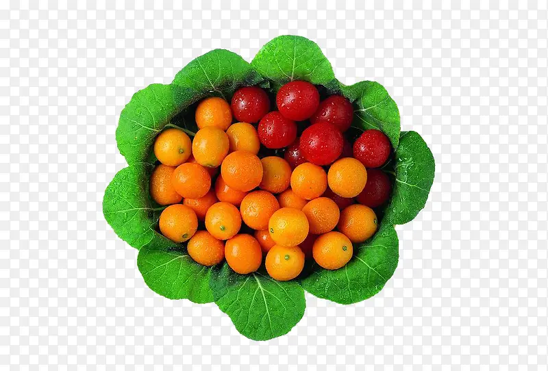 ˮ����-������