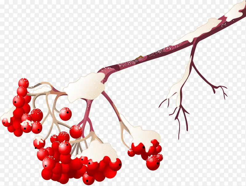 ��ɫ����-������