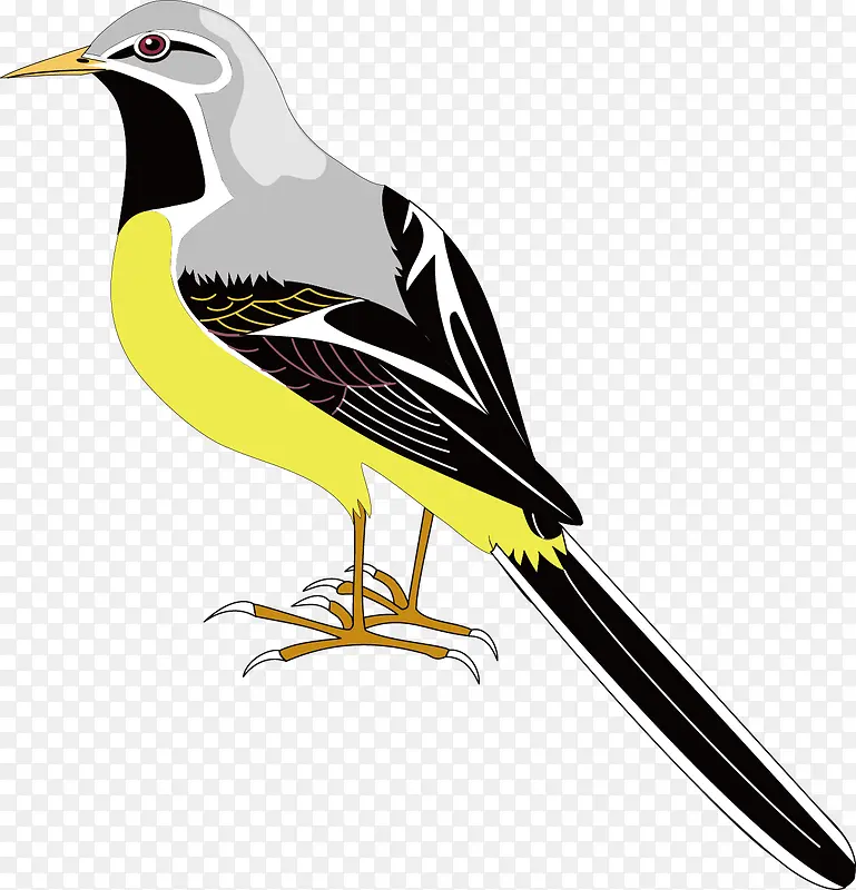 ��ľ��װ��ʸ���ز�-������