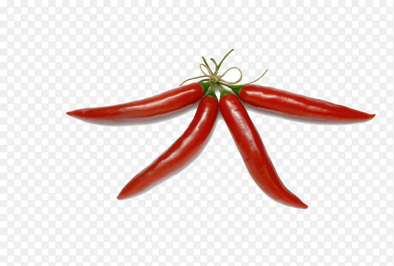 ��ɫ������-������