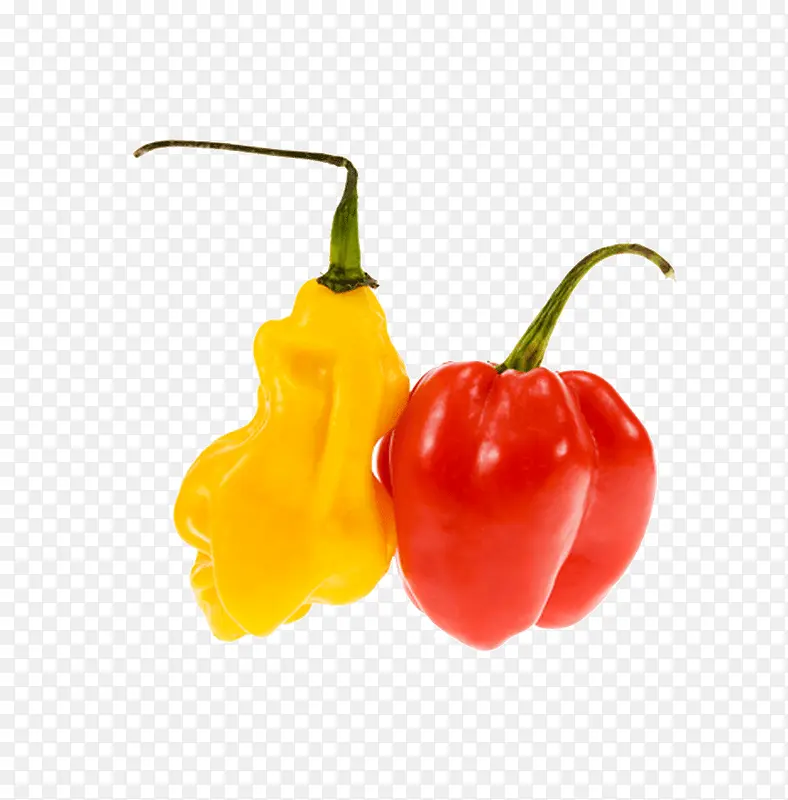 ����ͼƬ�ز�-������