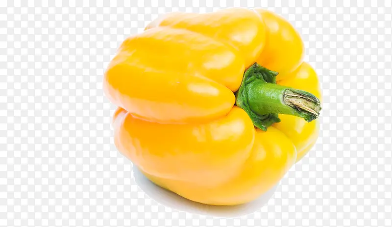 ��ɫ����-������