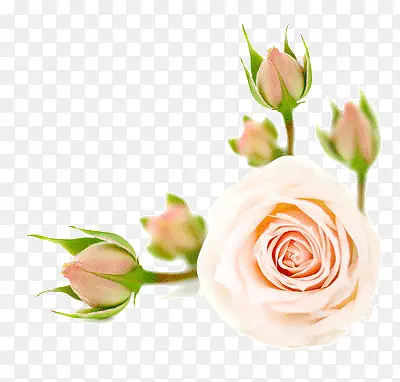 ����õ��-������