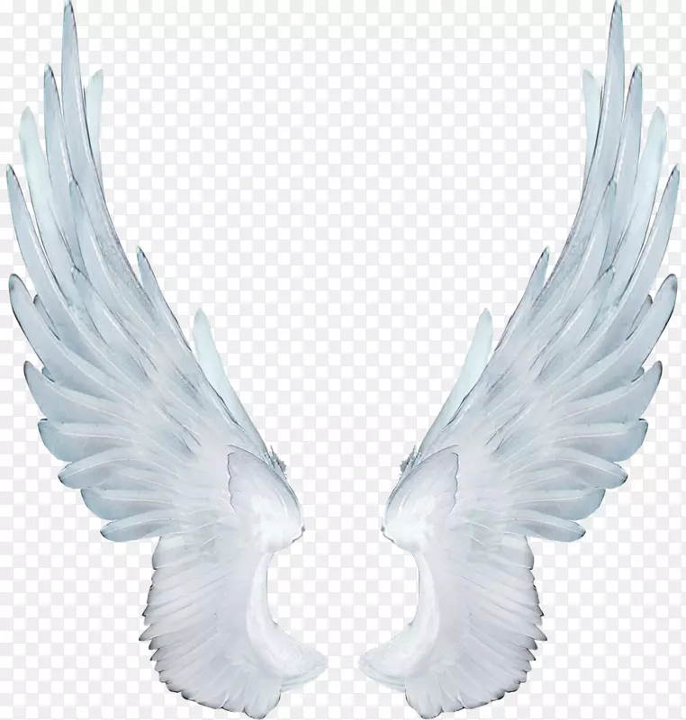 �����ֽ������.���-������