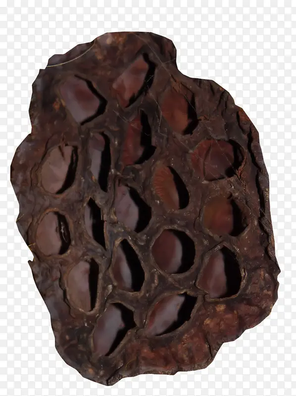 ��ɫ��������-������