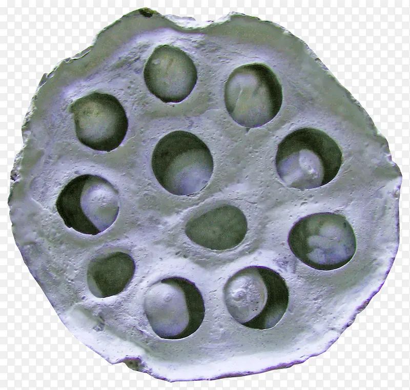 Ư����������-������