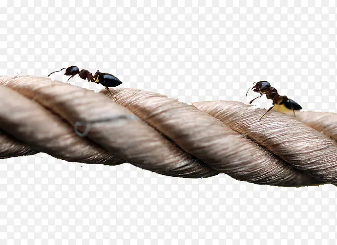 ��������-������