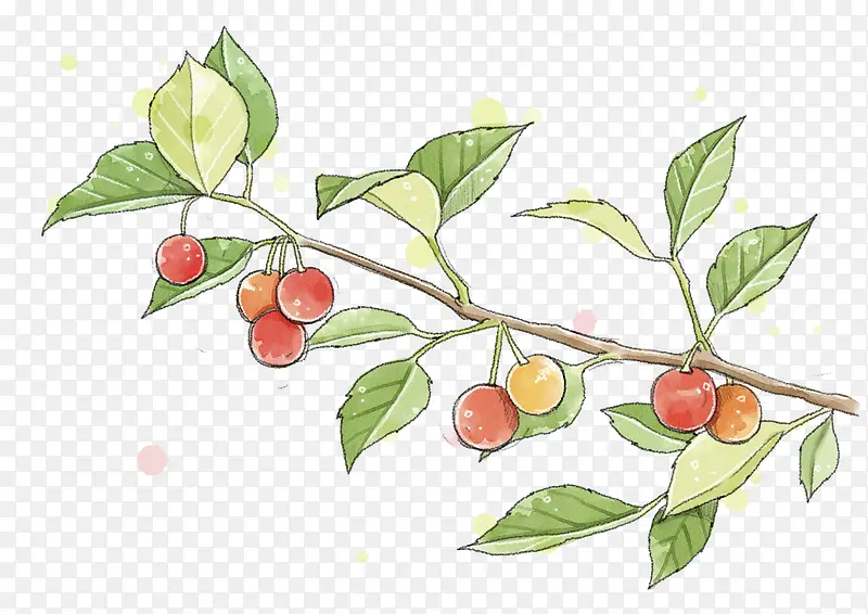 �ֻ�ӣ��ͼ-������