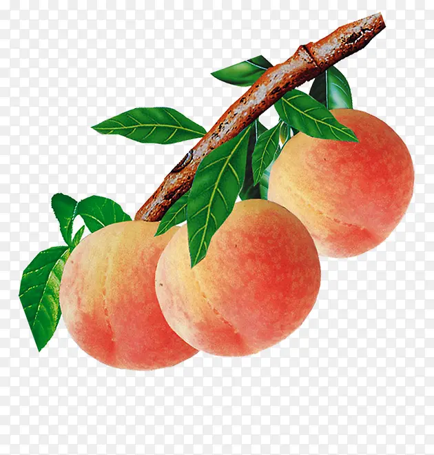 ����-������