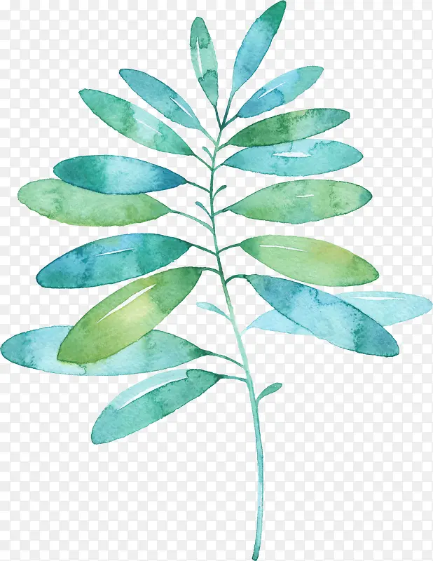 ��ɫˮ�ʻ���|��Ҷ9-������