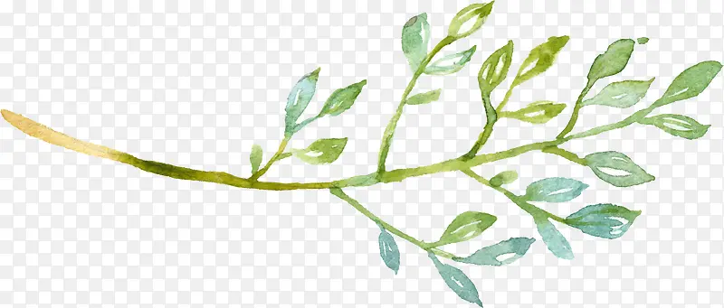 ��ɫˮ�ʻ���|��Ҷ10-������