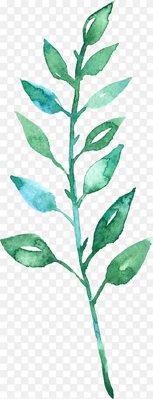 ��ɫˮ�ʻ���|��Ҷ2-������