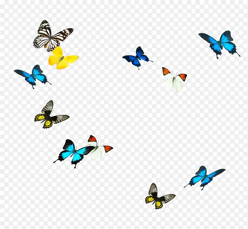 ���ֺ���-������