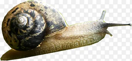 Ұ��������ţ���ж���-������