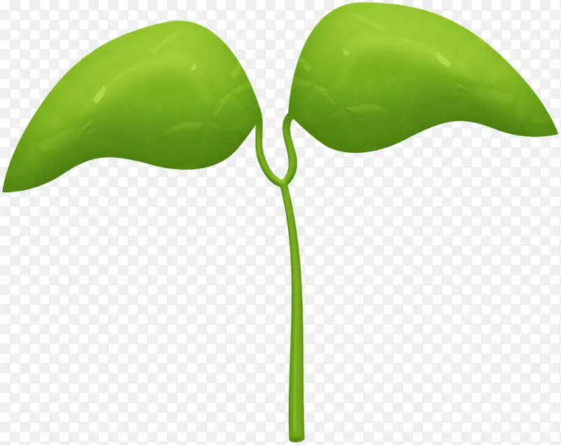 ��ɫС����ͷ-������