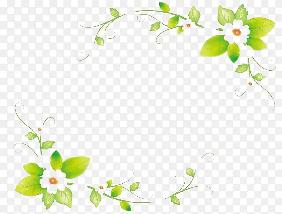 ����߿�-������