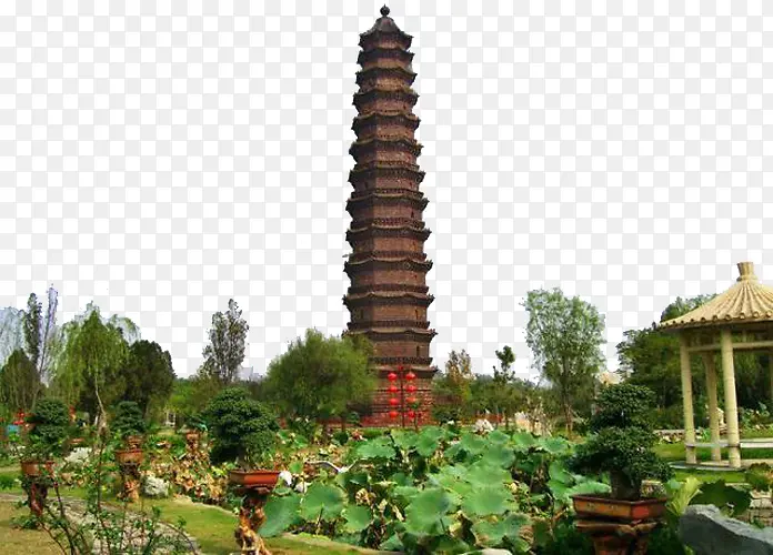 ����ĺ�ΰ����-������