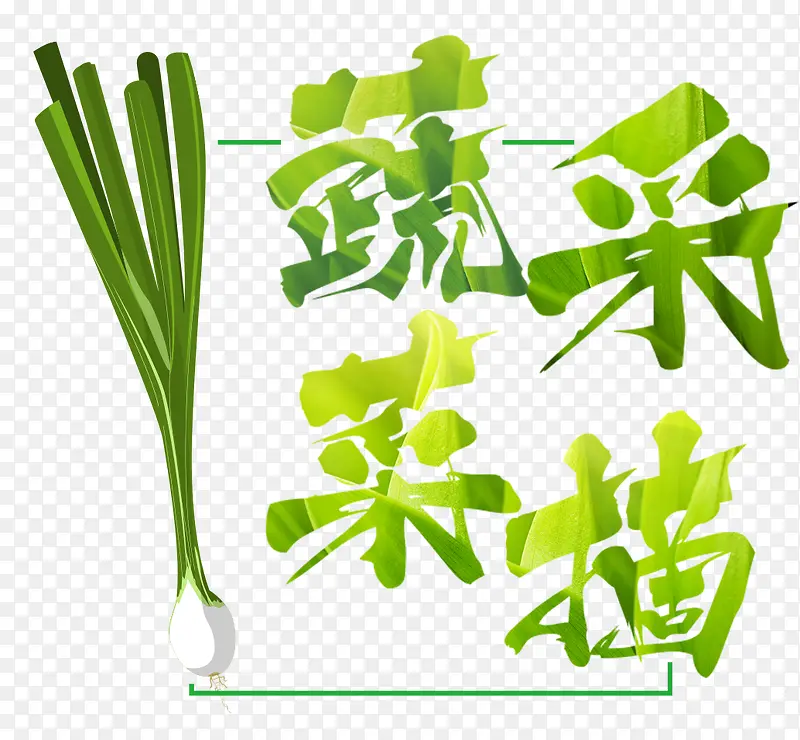 �߲˲�ժ-������