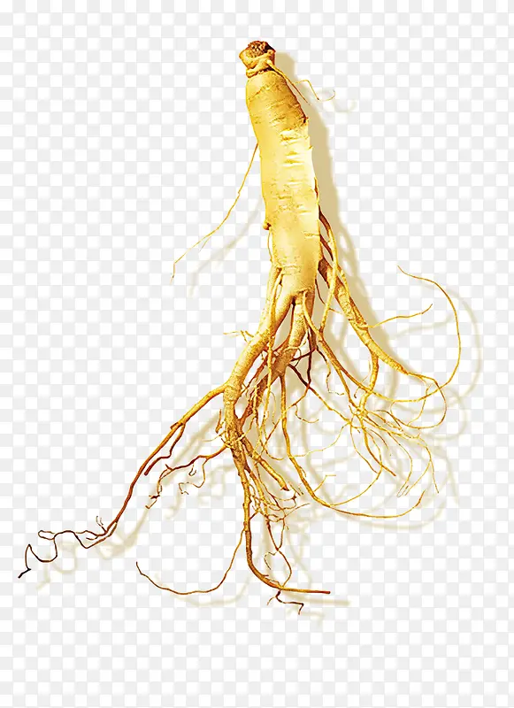 ������Ӱ���ɫ��ǧ���˲�-������