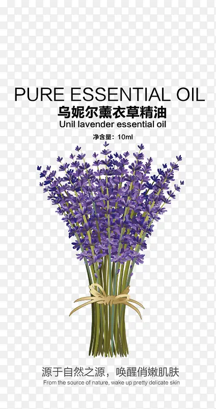 ޹�²ݾ������װ���-������