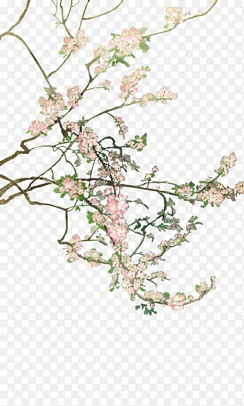 ��������-������