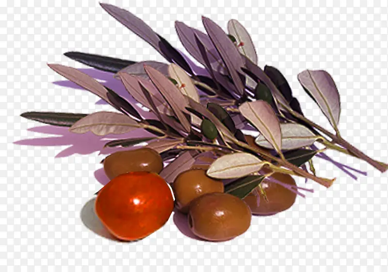 ��������ز�-������