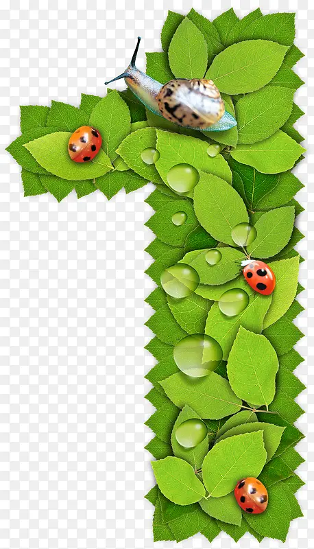 ��Ҷ��ɵ�����1-������